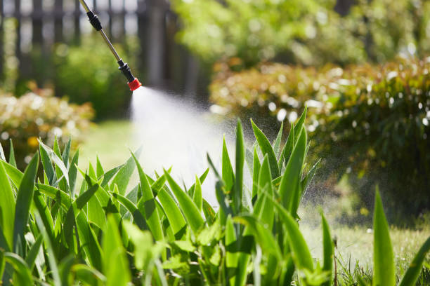 24/7 Emergency Bed Bug Control experts in Lake Secession, SC