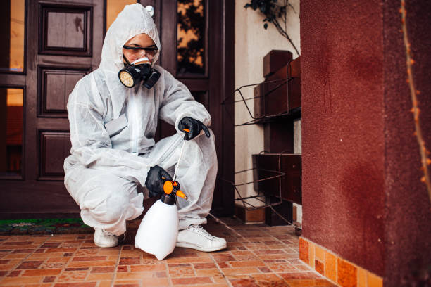 Reliable Bed Bug Control contractor in Lake Secession, SC by Nex Pest Control